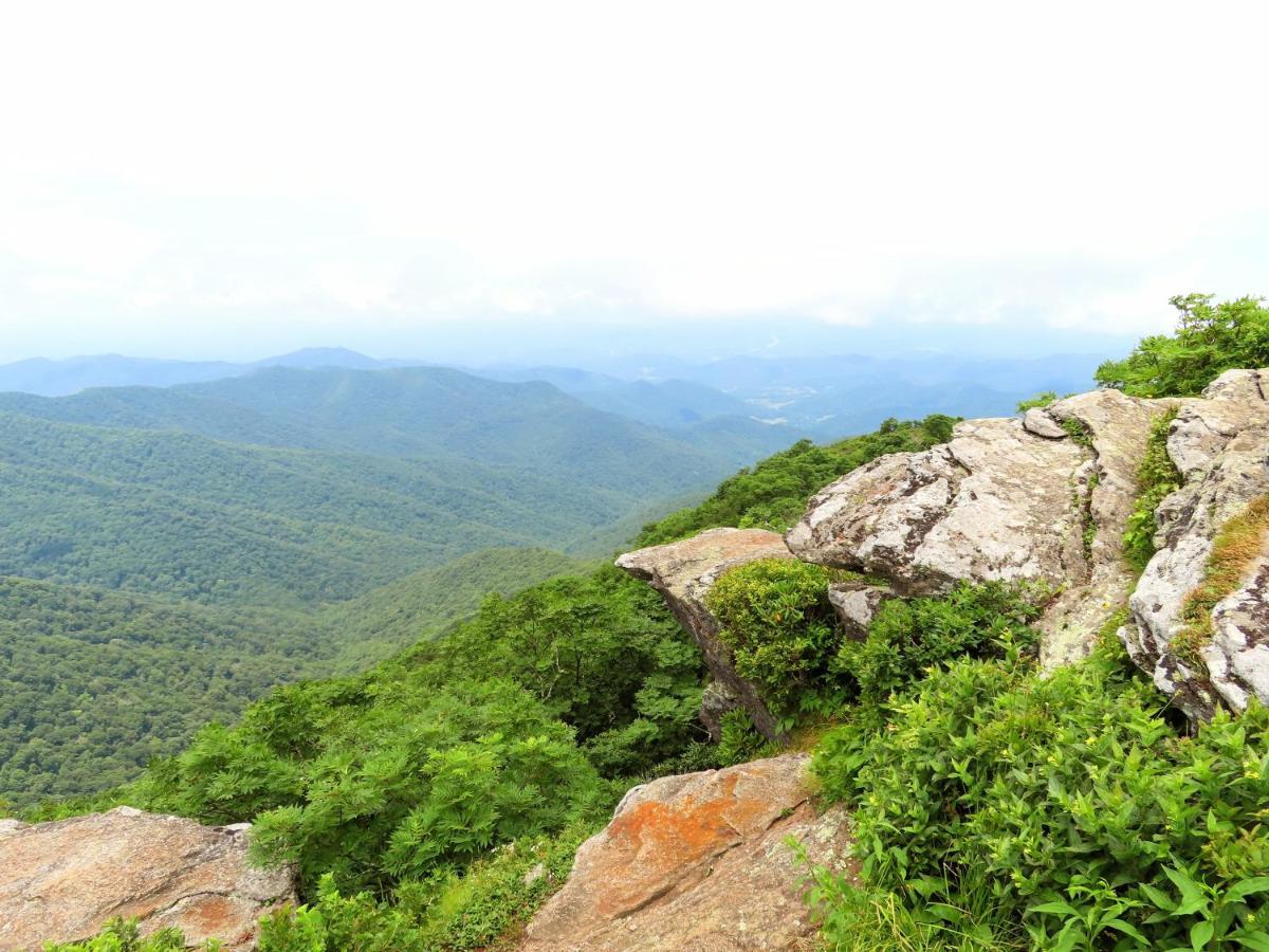 Treetops Cabin Easy To Asheville With Fast Wifi And Great View Swiss 외부 사진